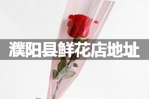 濮阳县鲜花店地址