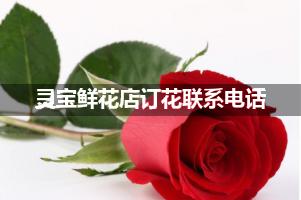 灵宝鲜花店订花联系电话