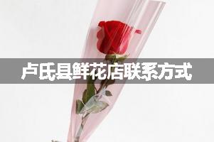 卢氏县鲜花店联系方式