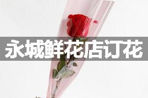 永城鲜花店订花