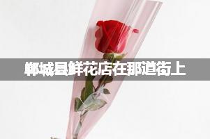 郸城县鲜花店在那道街上