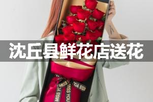 沈丘县鲜花店送花