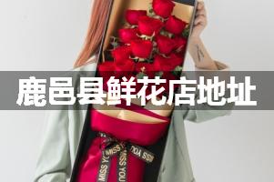鹿邑县鲜花店地址
