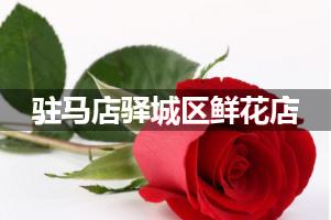 驻马店驿城区鲜花店