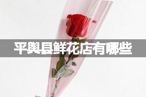 平舆县鲜花店有哪些