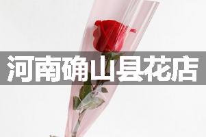 河南确山县花店