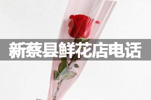 新蔡县鲜花店电话