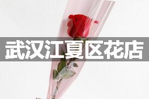 武汉江夏区花店