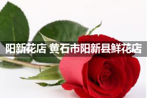 阳新花店 黄石市阳新县鲜花店
