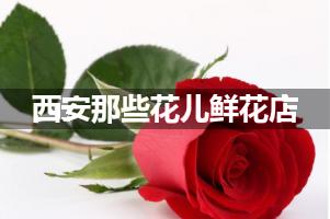 西安那些花儿鲜花店
