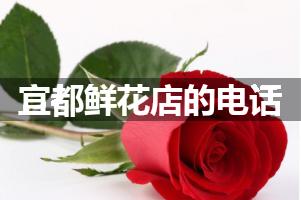 宜都鲜花店的电话