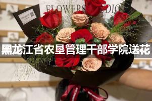 黑龙江省农垦管理干部学院送花上门（实体花店）