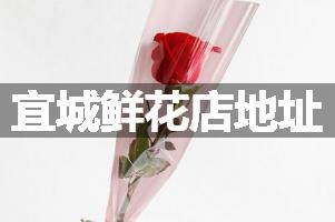 宜城鲜花店地址