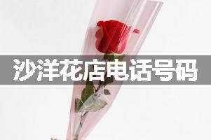 沙洋花店电话号码