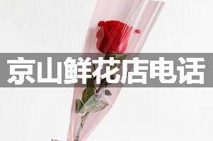 京山鲜花店电话