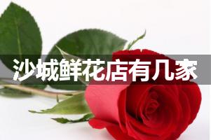 沙城鲜花店有几家