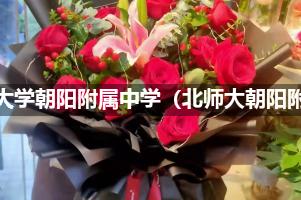 北京师范大学朝阳附属中学（北师大朝阳附中）附近便宜的