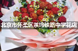 北京市怀柔区茶坞铁路中学附近便宜的花店
