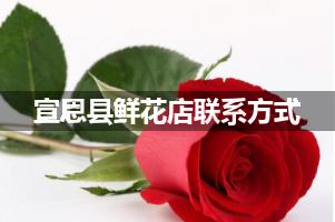 宣恩县鲜花店联系方式
