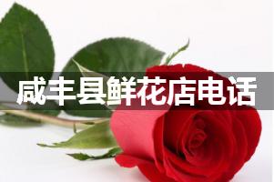 咸丰县鲜花店电话