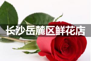 长沙岳麓区鲜花店