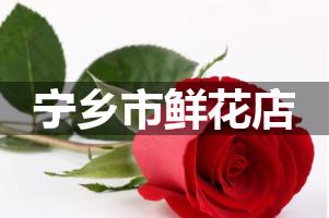宁乡市鲜花店