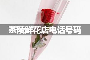 茶陵鲜花店电话号码