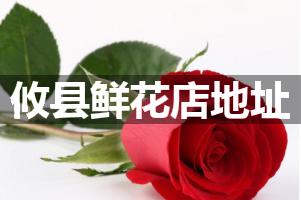 攸县鲜花店地址