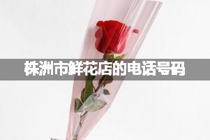 株洲市鲜花店的电话号码