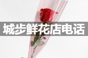 城步鲜花店电话