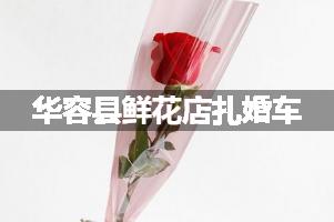 华容县鲜花店扎婚车