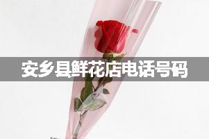 安乡县鲜花店电话号码