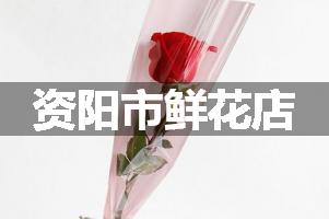 资阳市鲜花店