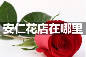 安仁花店在哪里