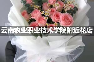 云南农业职业技术学院附近花店（高端点的）