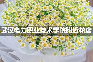 武汉电力职业技术学院附近花店（高端点的）